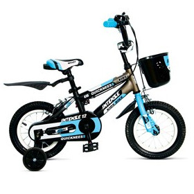 دوچرخه اسپرت اینتنس Intense کد BYC-00196 سایز 12 مدل 2016