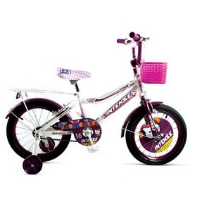 دوچرخه کلاسیک اینتنس Intense اورجینال کد BYC-00211 سایز 16 مدل 2016