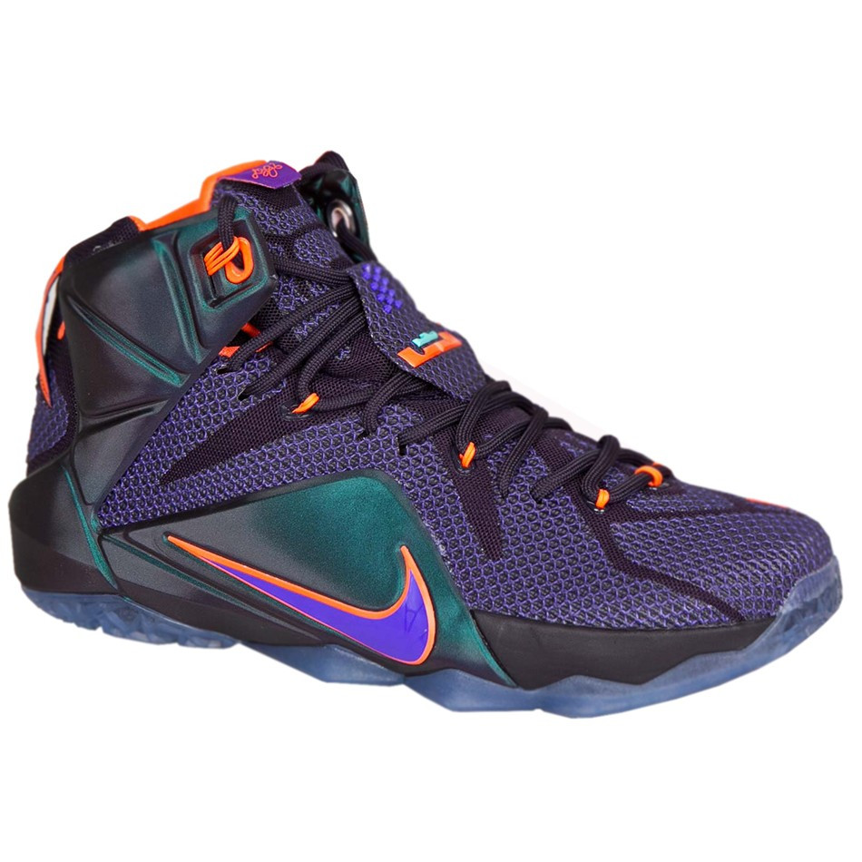 lebron 12 instinct