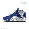 کتانی بسکتبال نایک اورجینال NIKE LEBRON 12 INSTINCT