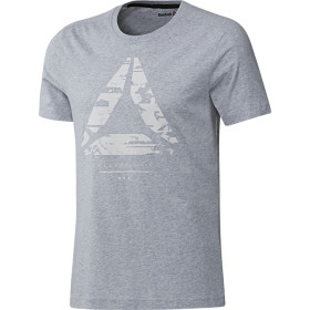 تی شرت مردانه ورزشی Reebok Workout Ready Cotton Series Graphic Tee