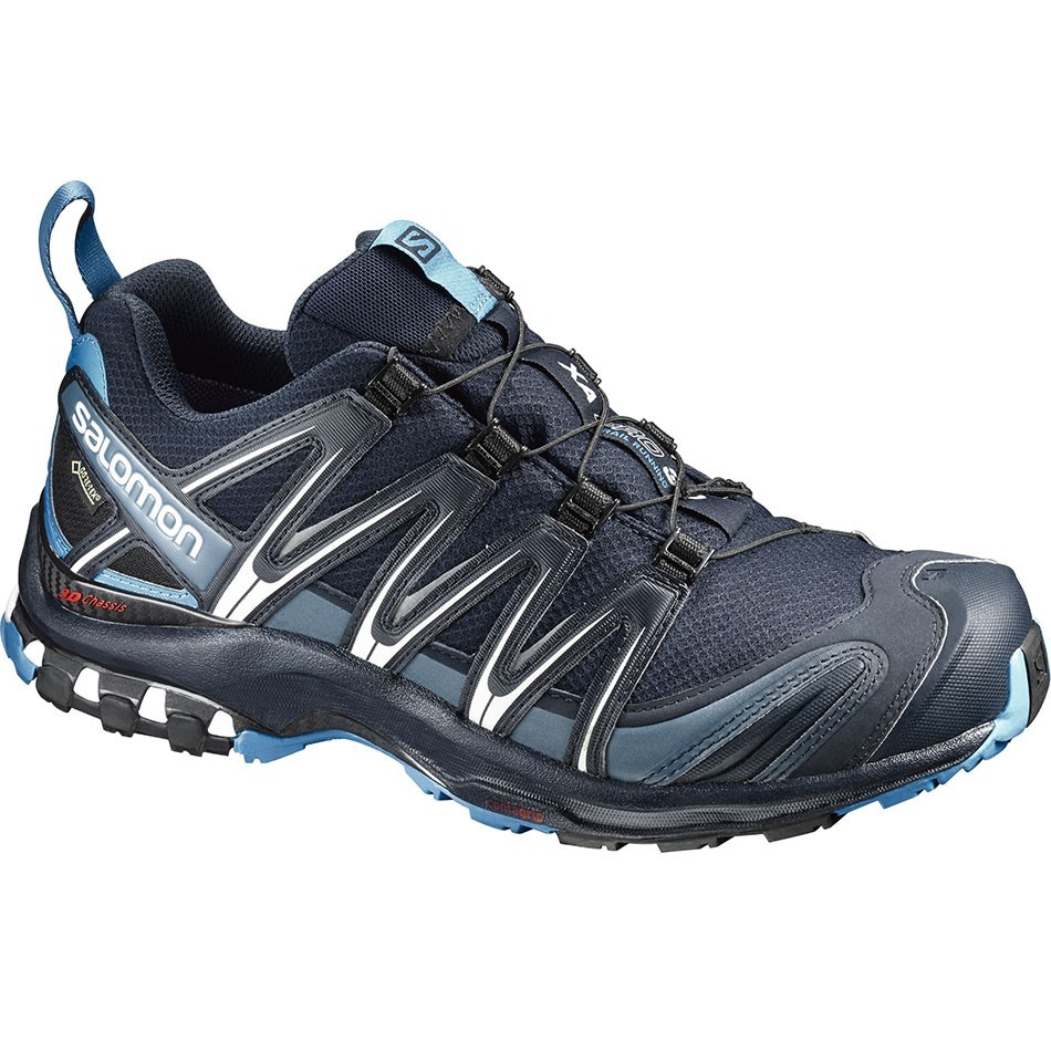 کفش کوهپیمایی و طبیعت گردی مردانه سالومون Salomon Xa Pro 3D GTX