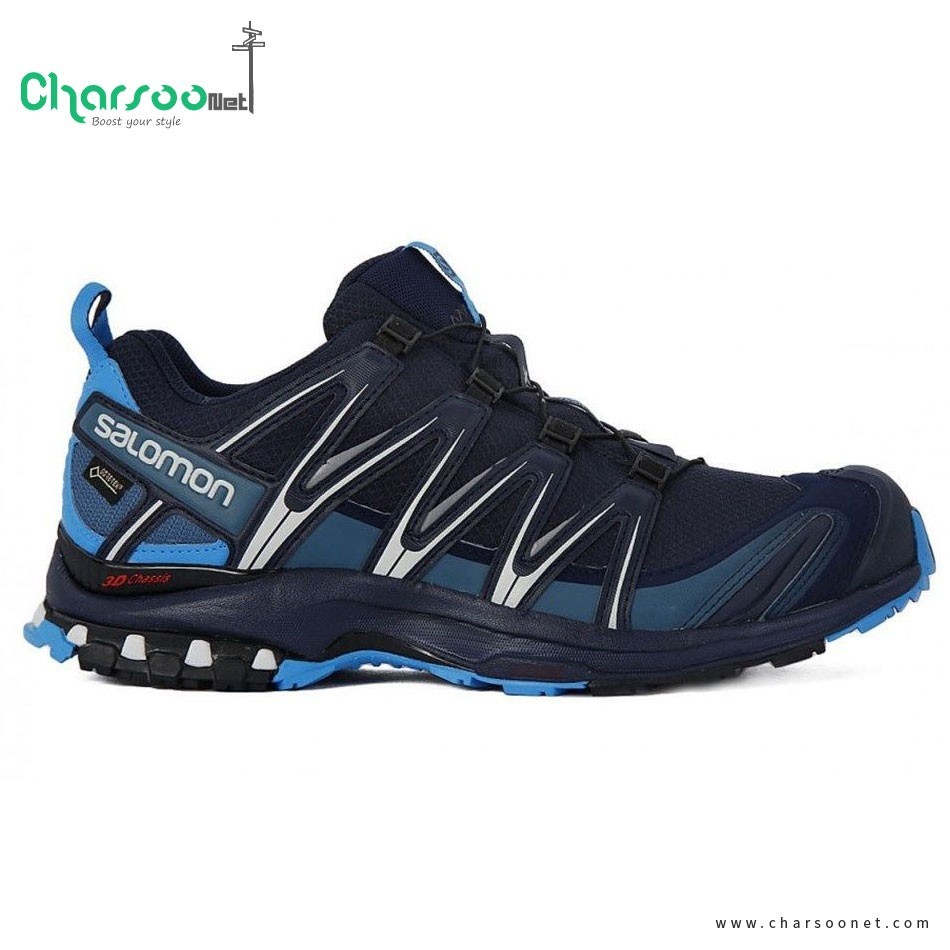 کفش کوهپیمایی و طبیعت گردی مردانه سالومون Salomon Xa Pro 3D GTX