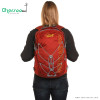 کوله پشتی لو الپاین نکسوز Lowe alpine Nexus 28