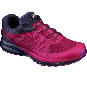 کتانی رانینگ زنانه سالومون SENSE PRO 2 W