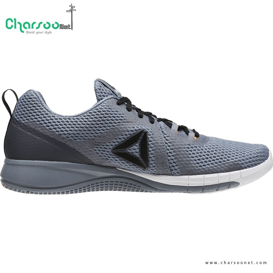 کفش رانینگ مردانه ریباک Reebok Print Run 2