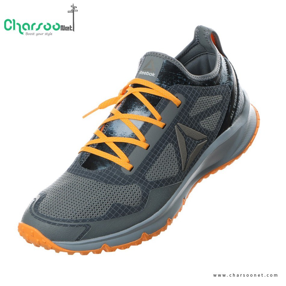 کتانی رانینگ مردانه ریبوک Reebok ALL Terrain Freedom