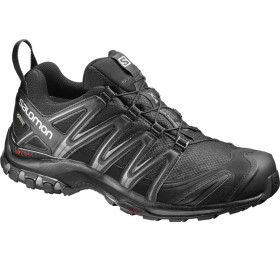 کفش مردانه سالومون Salomon Xa Pro 3D GTX