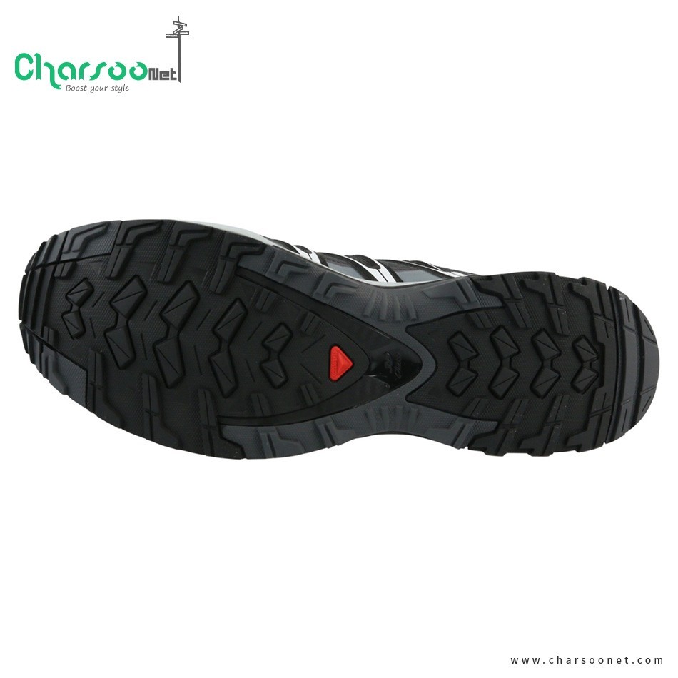 کفش سالومون مردانه Salomon Xa Pro 3D GTX