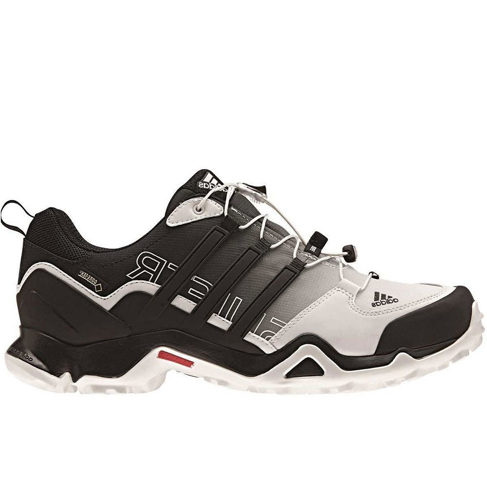 کفش پیاده روی مردانه Adidas Terrex Swift R GTX