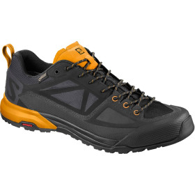 کفش ضدآب مردانه سالومون Salomon X Alp Spry GTX