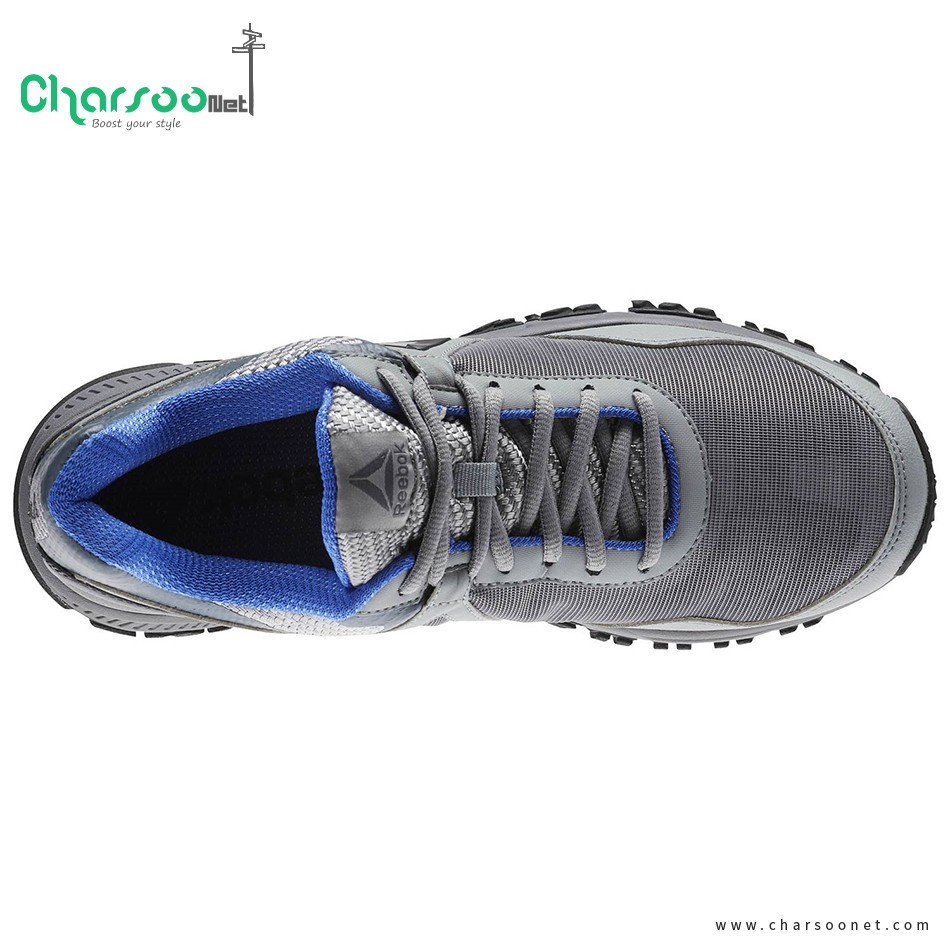 کفش تریل رانینگ مردانه Reebok Ridgerider Trail 3