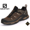 Salomon X Ultra LTR GTX