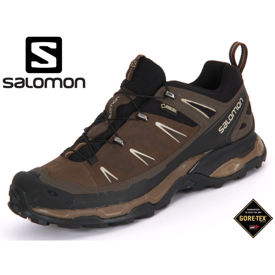 Salomon X Ultra LTR GTX