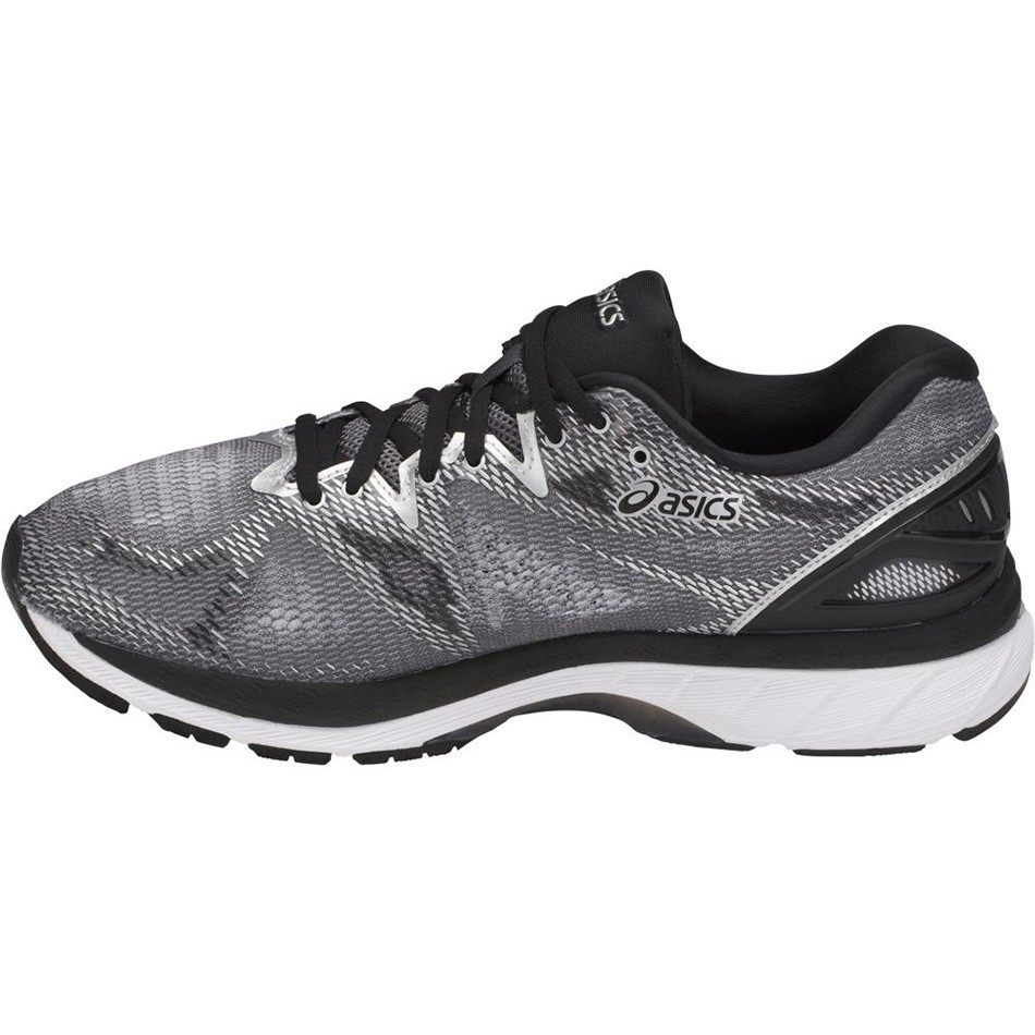 کفش رانینگ مردانه اسیکس Asics DynaFlyte 2