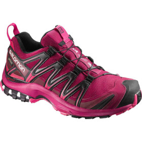 کفش پیاده روی و کوهپیمایی زنانه سالومون Salomon XA Pro 3D GTX