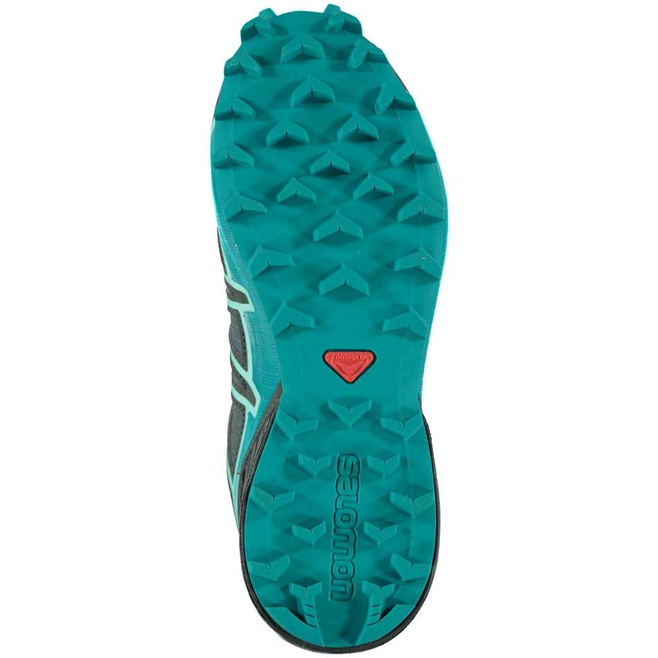 کفش تریال رانینگ زنانه سالومون Salomon Speedcross 4 GTX