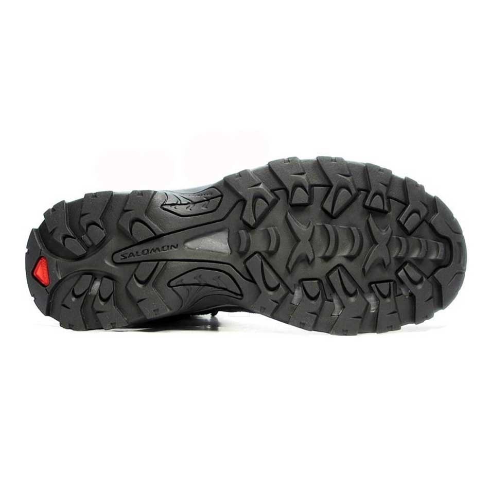 کفش کوهنوردی مردانه سالومون Salomon Authentic LTR GTX M
