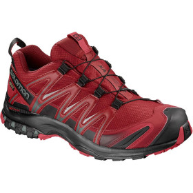 کقش ورزشی سالامون SALOMON Xa Pro 3D Gtx