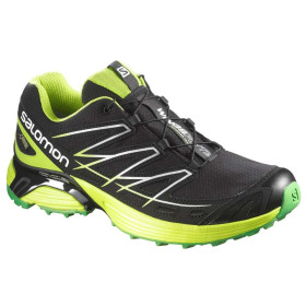 کفش سالامون Salomon Wings Flyte GTX