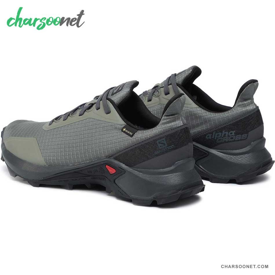 کفش تریال راننیگ مردانه سالومون Salomon Alphacross GTX