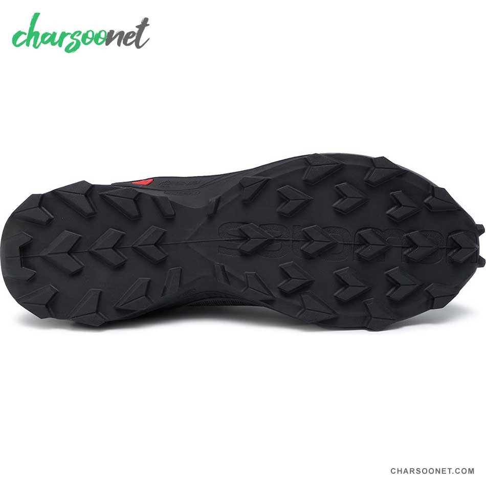 کفش تریال راننیگ مردانه سالومون Salomon Alphacross GTX