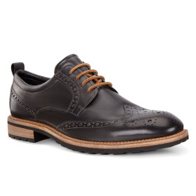 کفش مردانه اکو Ecco Vitrus