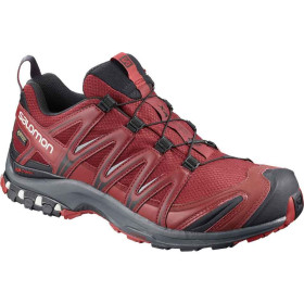 کفش مردانه ی سالومون Salomon Xa Pro 3D Gtx