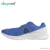 کتانی ریباک ورزشی مردانه Reebok Floatride Run