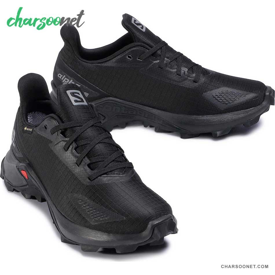 کفش ورزشی سالومون مدل Salomon Alphacross Blast Gtx کد sa-411063