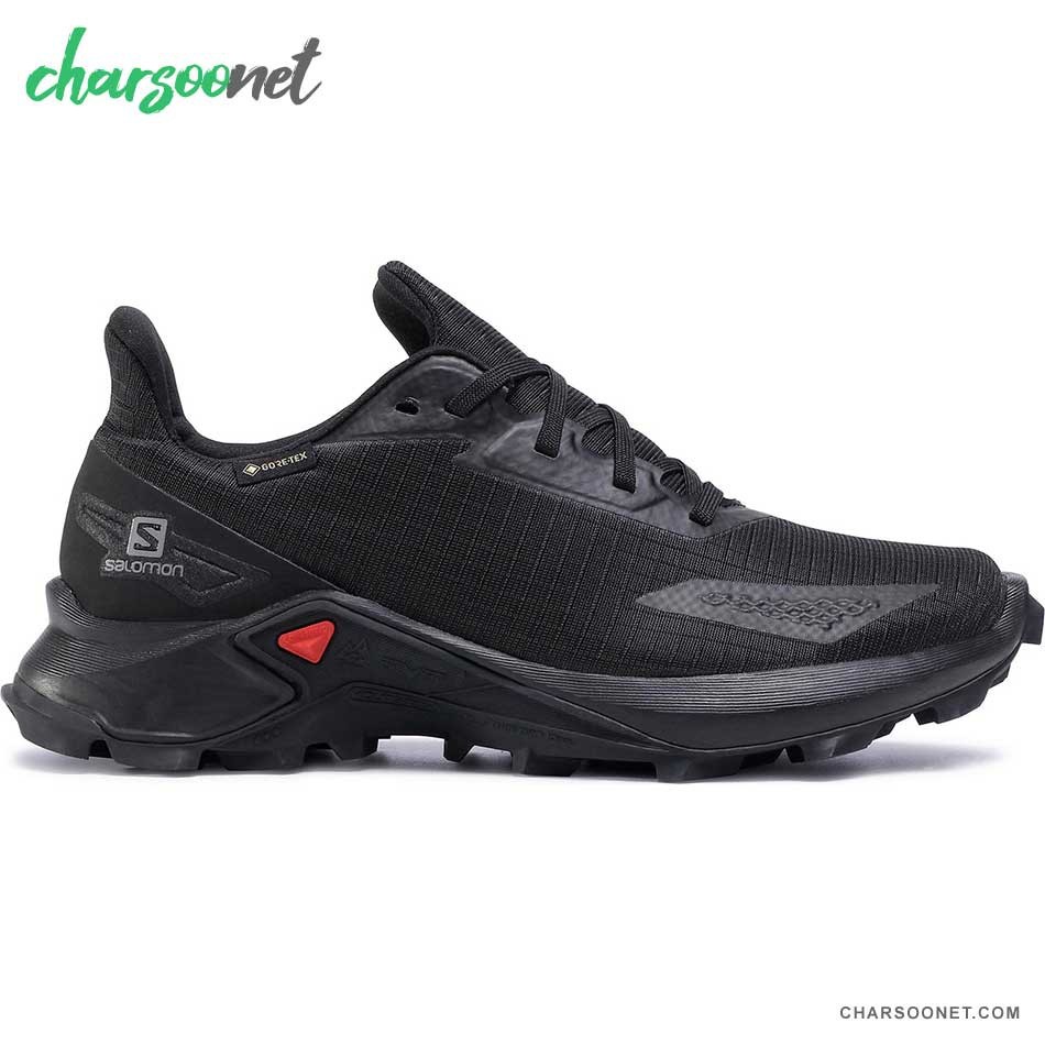 کفش ورزشی سالومون مدل Salomon Alphacross Blast Gtx کد sa-411063