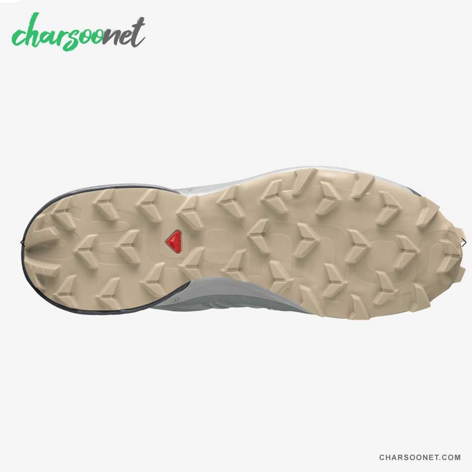 کفش تریال رانینگ سالومون مدل Salomon Speedcross 5 کد sa-411164