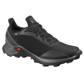 کفش رانینگ مردانه سالومون مردانه Salomon Alphacross Gtx
