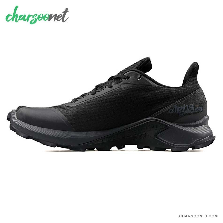 کفش رانینگ مردانه سالومون مردانه Salomon Alphacross Gtx