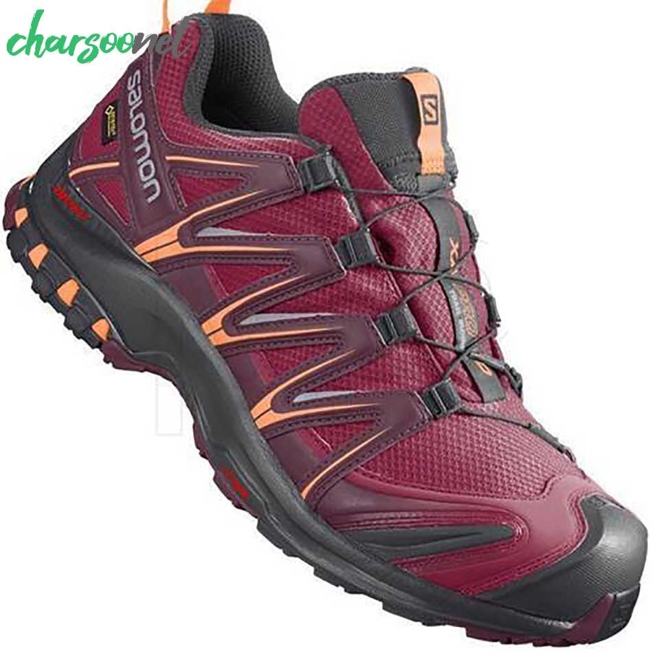 کفش کوهنوردی سالومون مدل XA PRO 3D GTX کد 409762