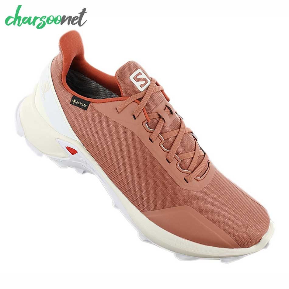 کفش تریل رانینگ سالومون مدل  Salomon ALPHACROSS GTX کد 409611