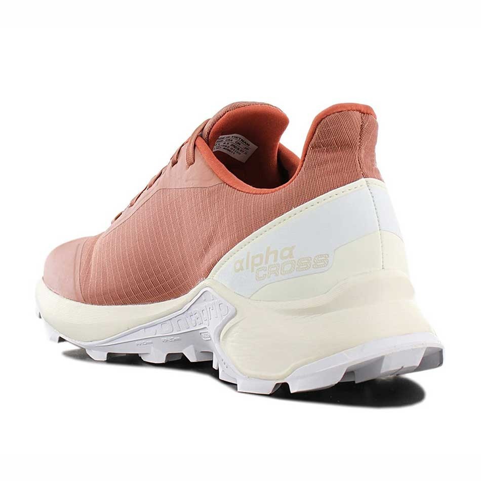 کفش تریل رانینگ سالومون مدل  Salomon ALPHACROSS GTX کد 409611