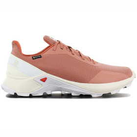 کفش تریل رانینگ سالومون مدل  Salomon ALPHACROSS GTX کد 409611