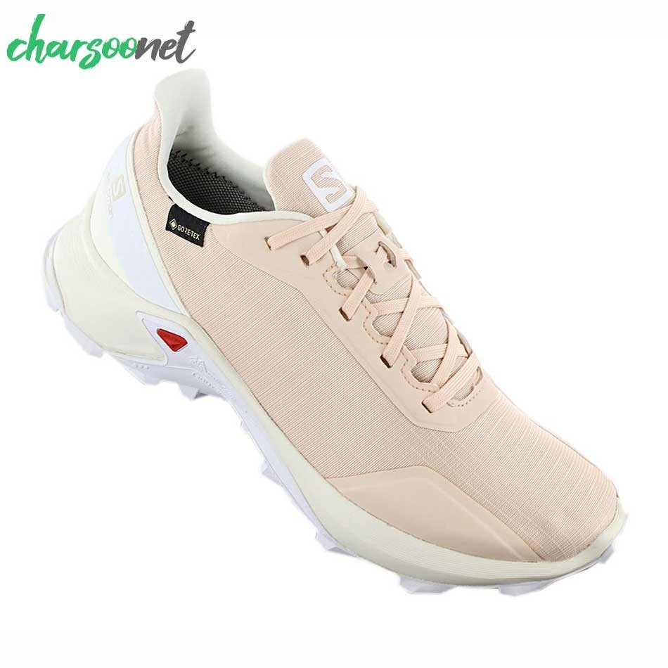 کتانی ورزشی سالومون مدل SALOMON Alphacross Gtx کد 409612