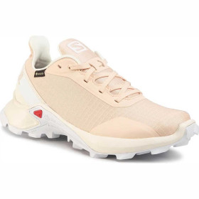 کتانی ورزشی سالومون مدل SALOMON Alphacross Gtx کد 409612