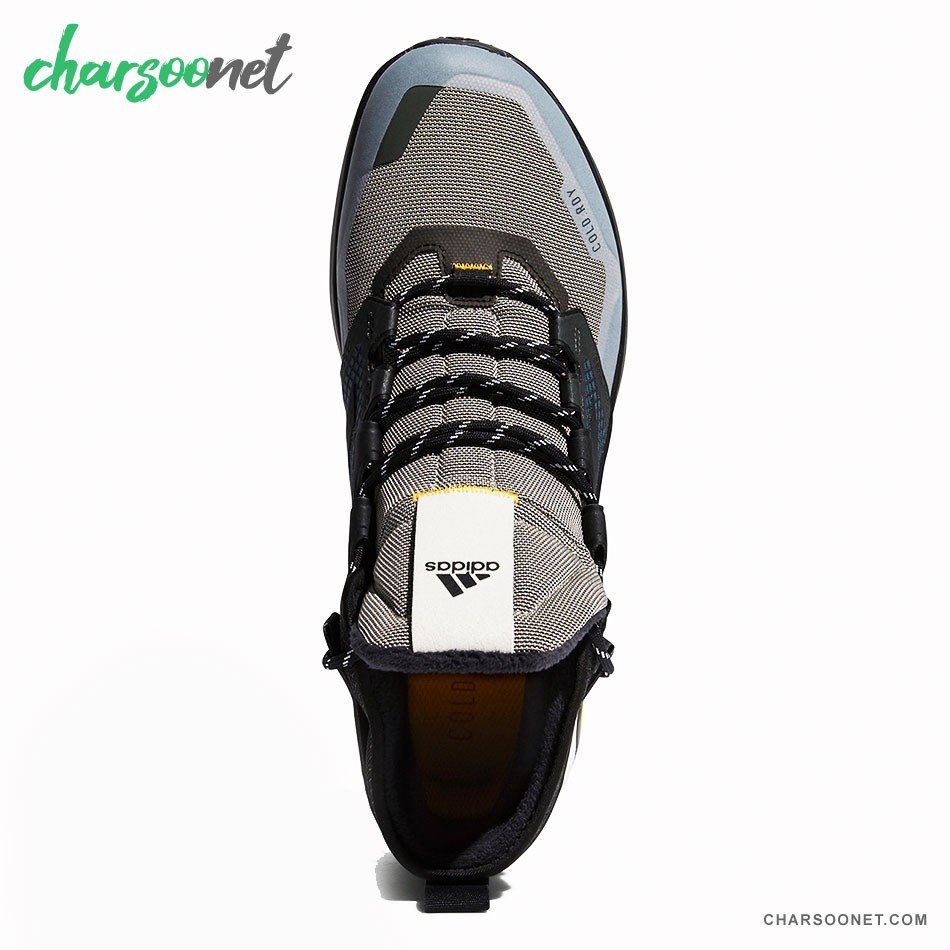 کفش کوهنوردی آدیداس ترکس مردانه Adidas Terrex Cold.Rdy FV6886
