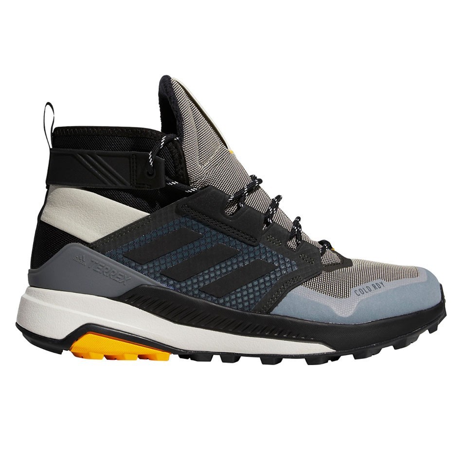 کفش کوهنوردی آدیداس ترکس مردانه Adidas Terrex Cold.Rdy FV6886