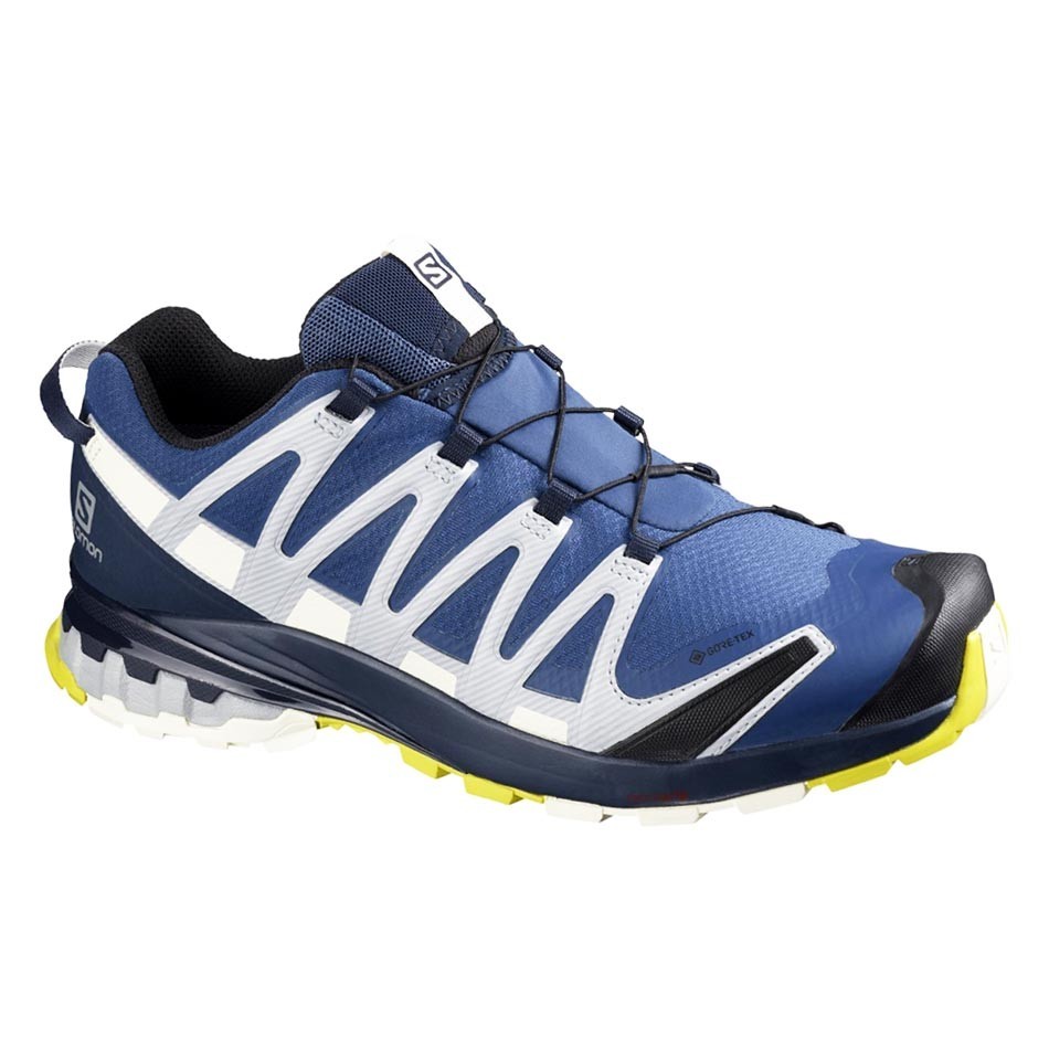 کفش کوهنوردی سالومون Salomon XA PRO 3D V8 GTX کد SA-411181