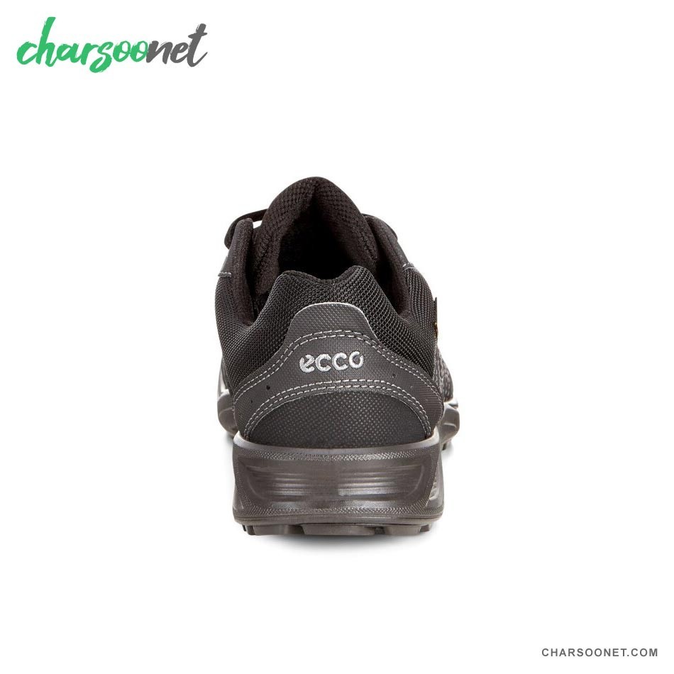 کفش پیاده روی و دویدن Ecco Terracruise LT Booly GTX