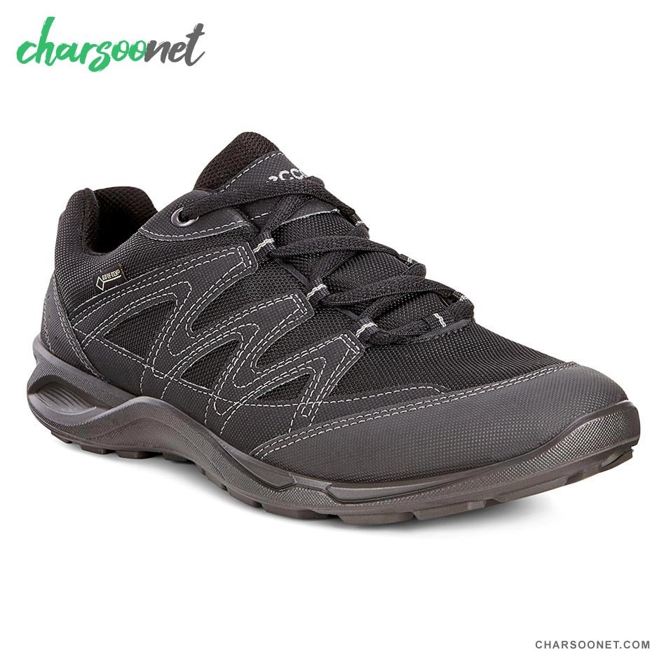 کفش پیاده روی و دویدن Ecco Terracruise LT Booly GTX