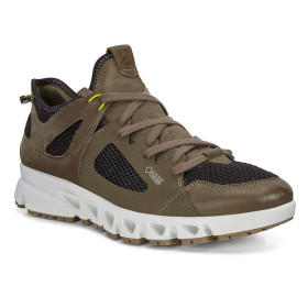 کفش پیاده روی و دویدن ضدآب اکو مردانه Ecco Multi-Vent GTX 880134-51751
