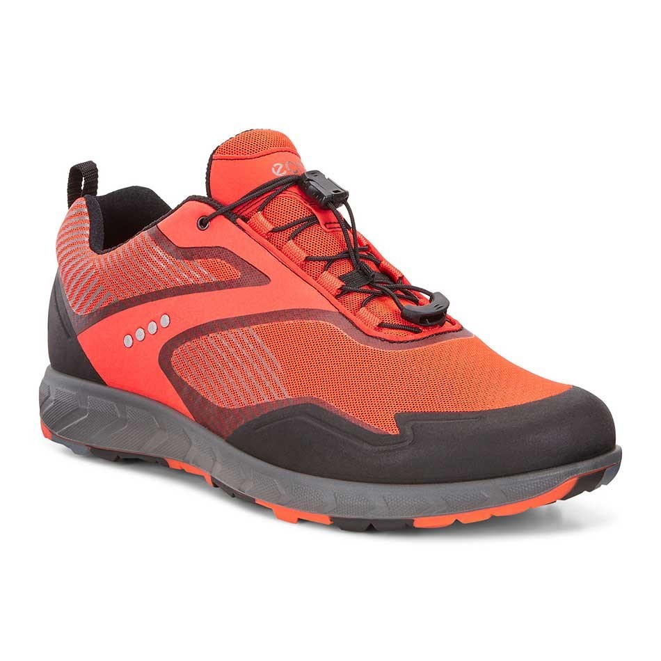 کفش رسمی اکو مدل Ecco Terraitrail کد 80353458417