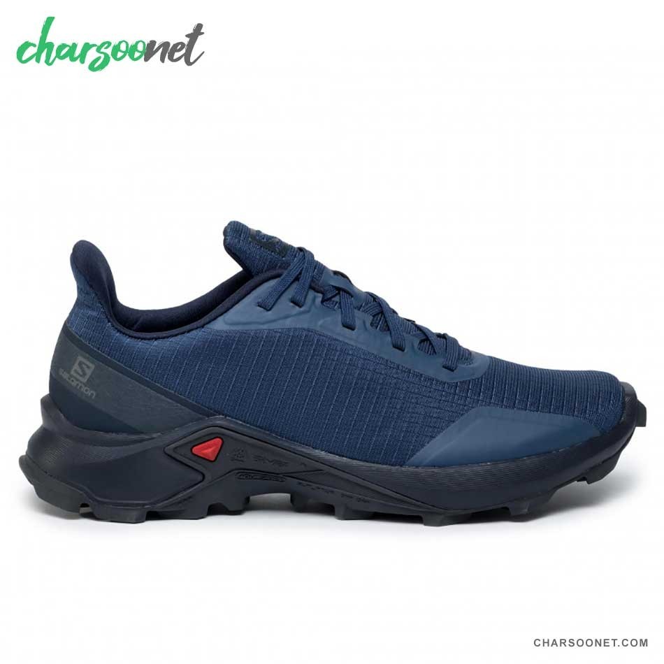 کفش پیاده روی سالومون مردانه Salomon Alphacross 407982