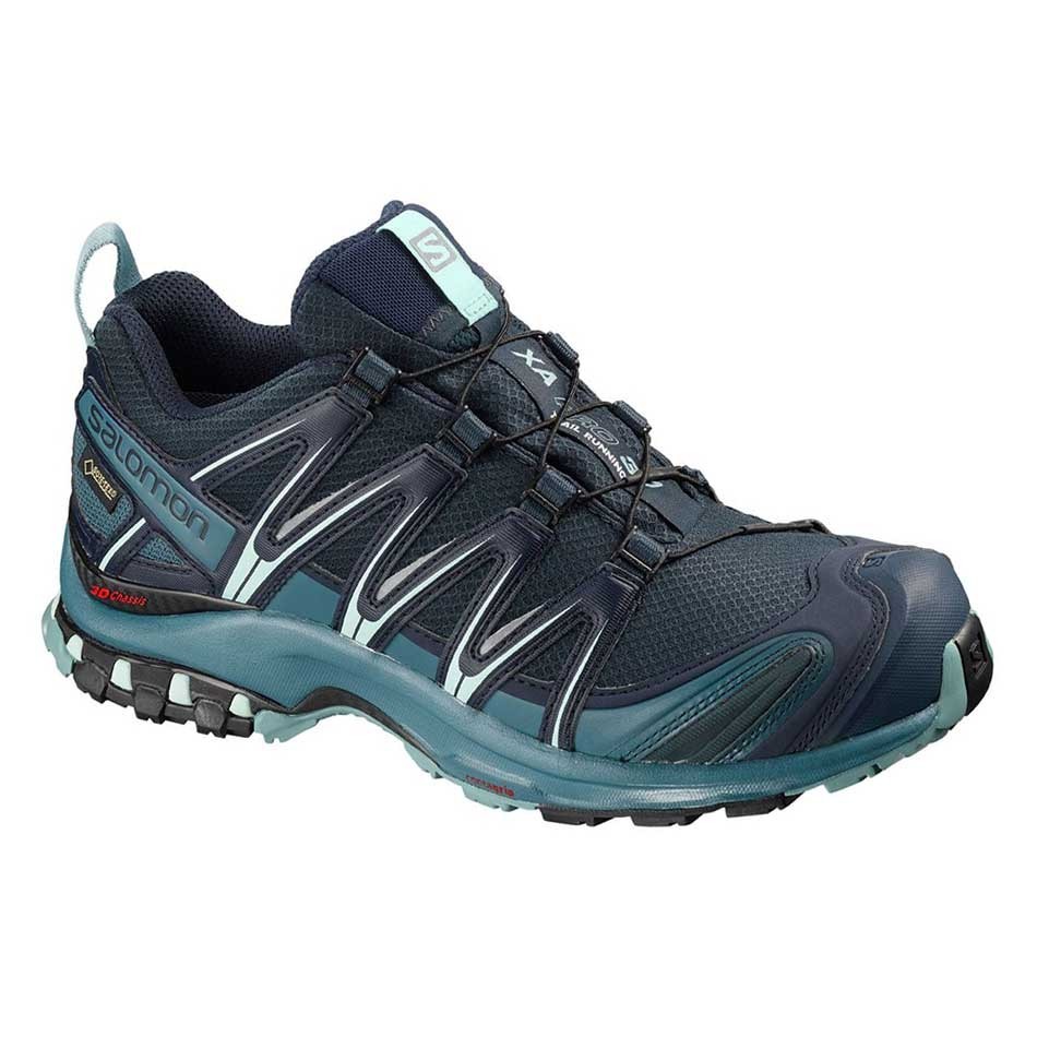 کفش ورزشی سالومون ضدآب زنانه Salomon XA Pro 3D GTX