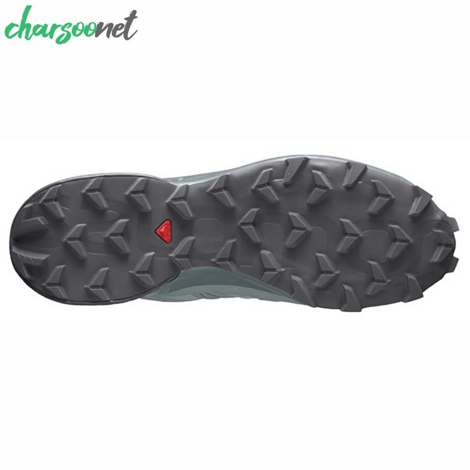 کفش پیاده روی و دویدن سالومون مدل Salomon Speedcross 5 GTX کد 413094